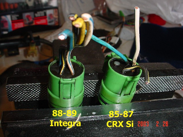 crx cyp sensor